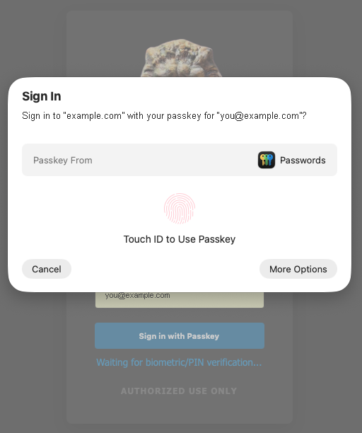 Operating system passkey dialog prompting for Touch ID before completing sign-in
