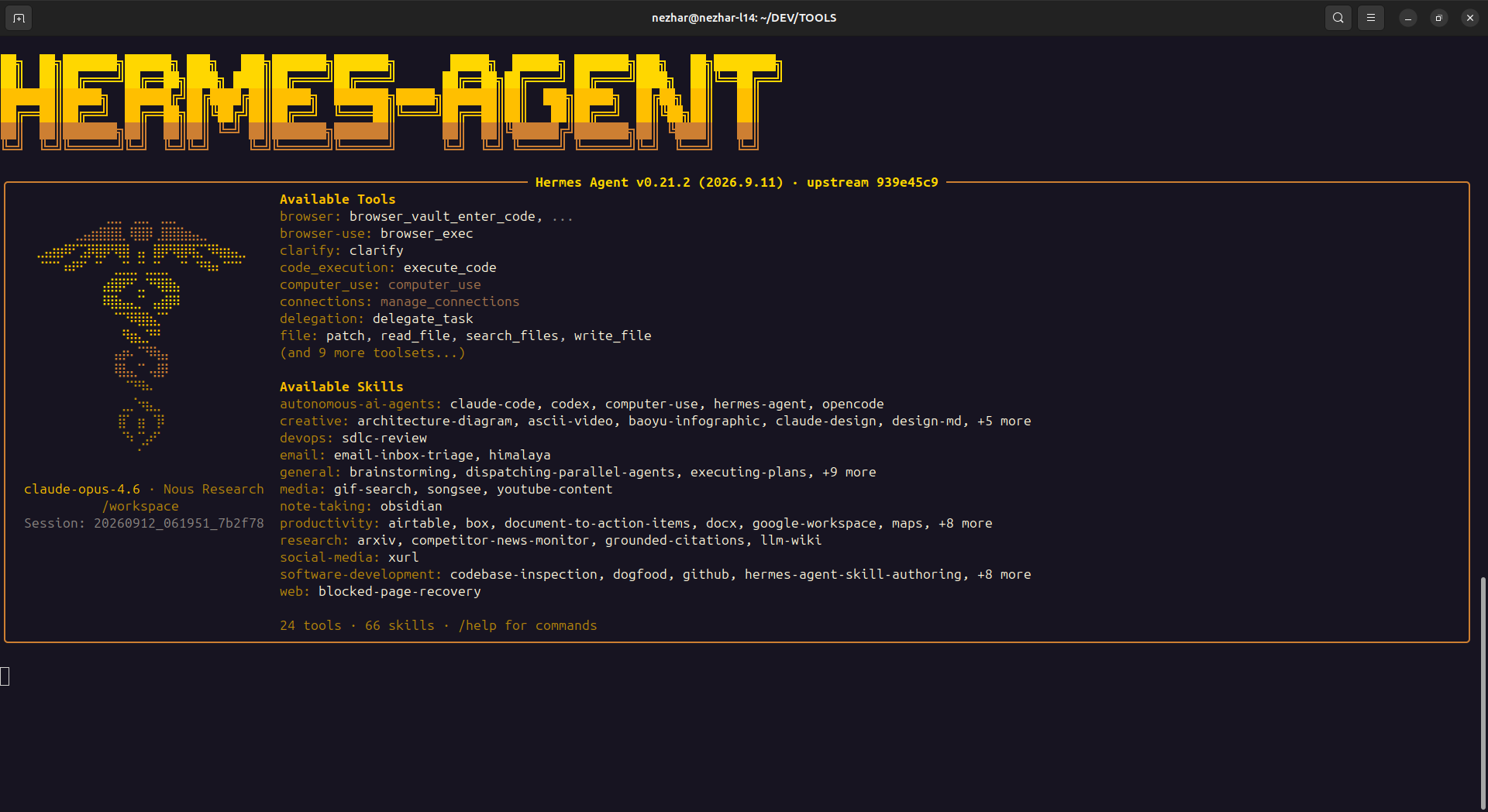 Hermes Agent