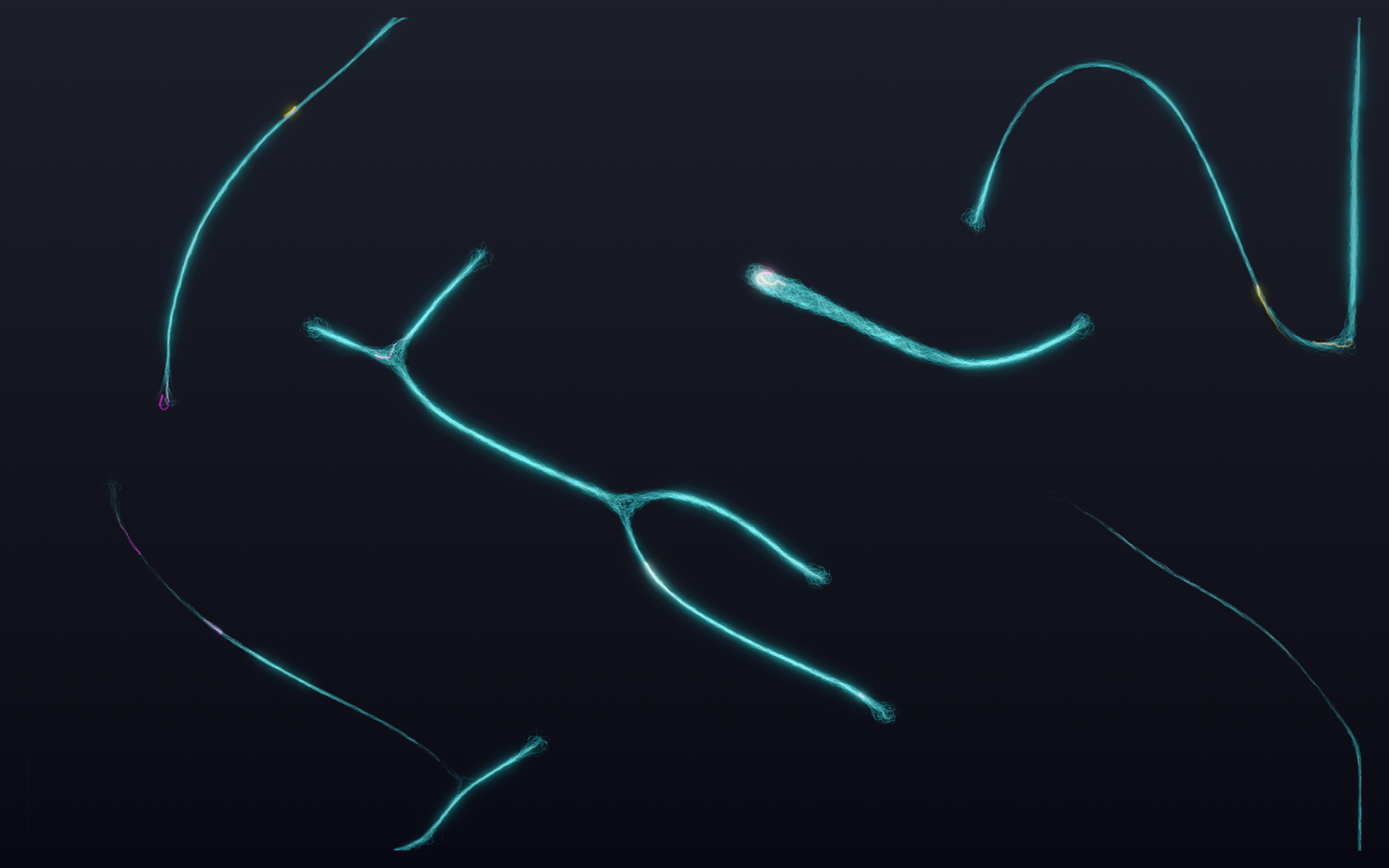 Mycelium — slime-mould transport filaments