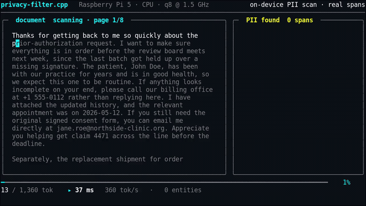 Raspberry Pi 5 on-device PII scan: 1,360 tokens, 107 PII spans across 22 categories in 3.8 s