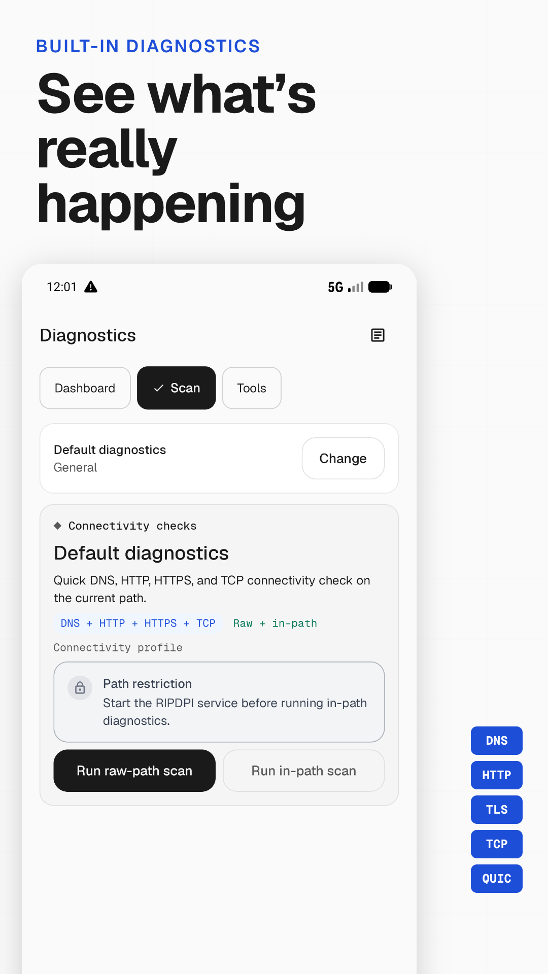 RIPDPI diagnostics screen with per-target network results